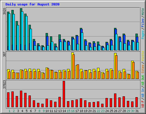 Daily usage for August 2020