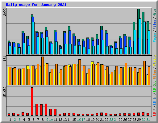 Daily usage for January 2021