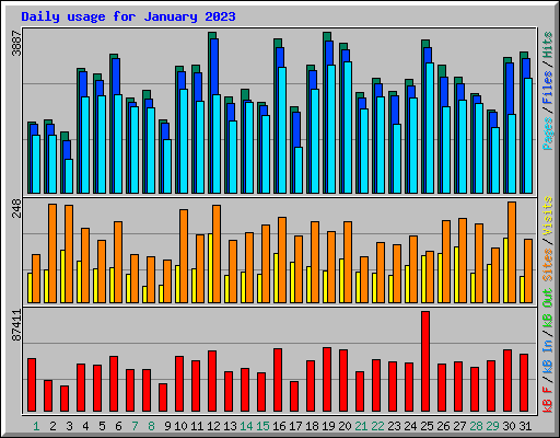 Daily usage for January 2023