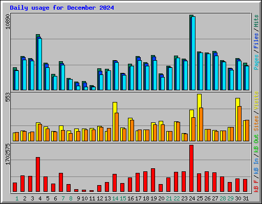 Daily usage for December 2024
