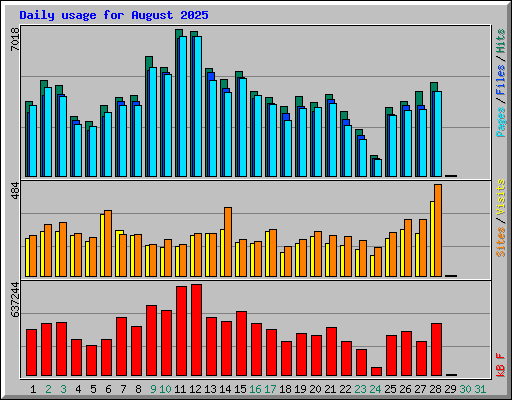 Daily usage for August 2025