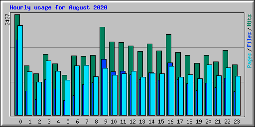 Hourly usage for August 2020