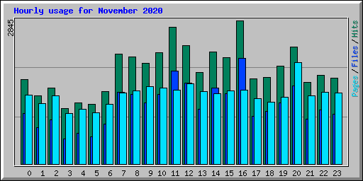 Hourly usage for November 2020