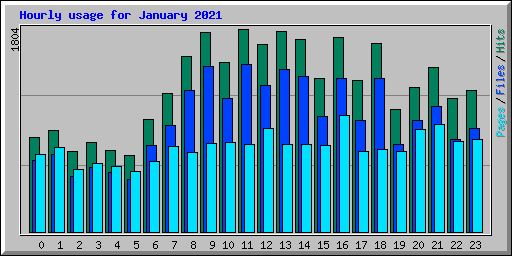 Hourly usage for January 2021