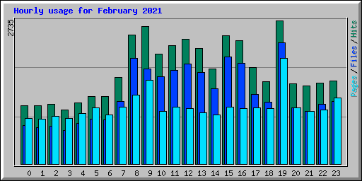 Hourly usage for February 2021