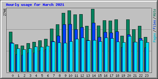 Hourly usage for March 2021