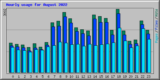 Hourly usage for August 2022