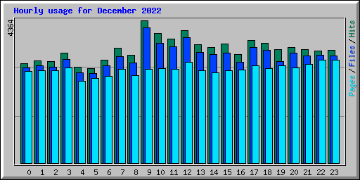 Hourly usage for December 2022