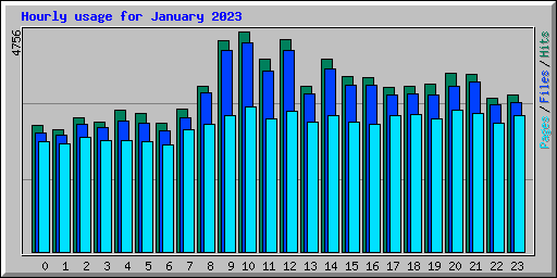 Hourly usage for January 2023