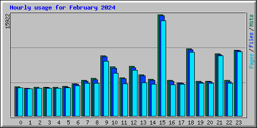 Hourly usage for February 2024