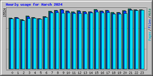 Hourly usage for March 2024