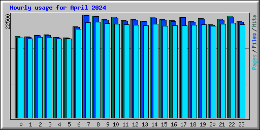 Hourly usage for April 2024