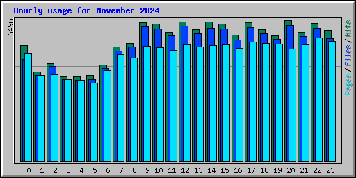 Hourly usage for November 2024