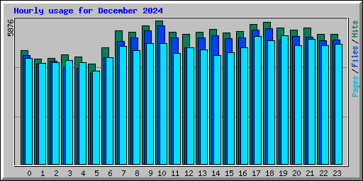 Hourly usage for December 2024