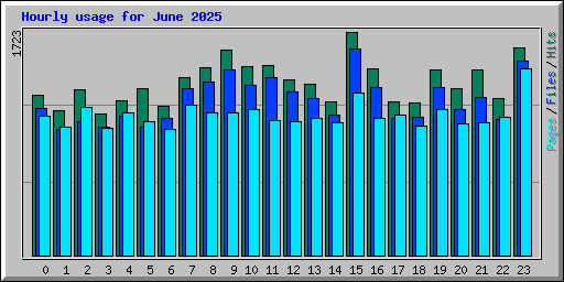Hourly usage for June 2025