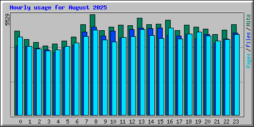 Hourly usage for August 2025